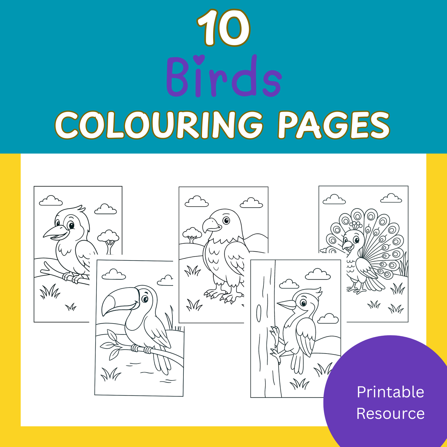 Birds Colouring Pages | 10 Pages