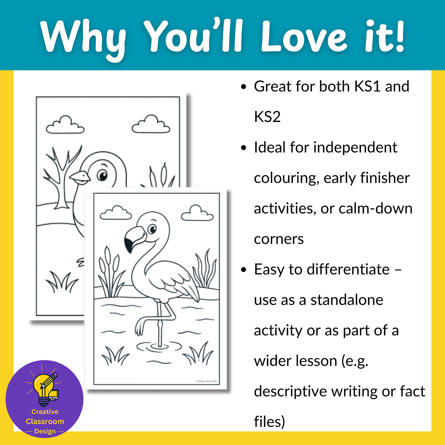 Birds Colouring Pages | 10 Pages