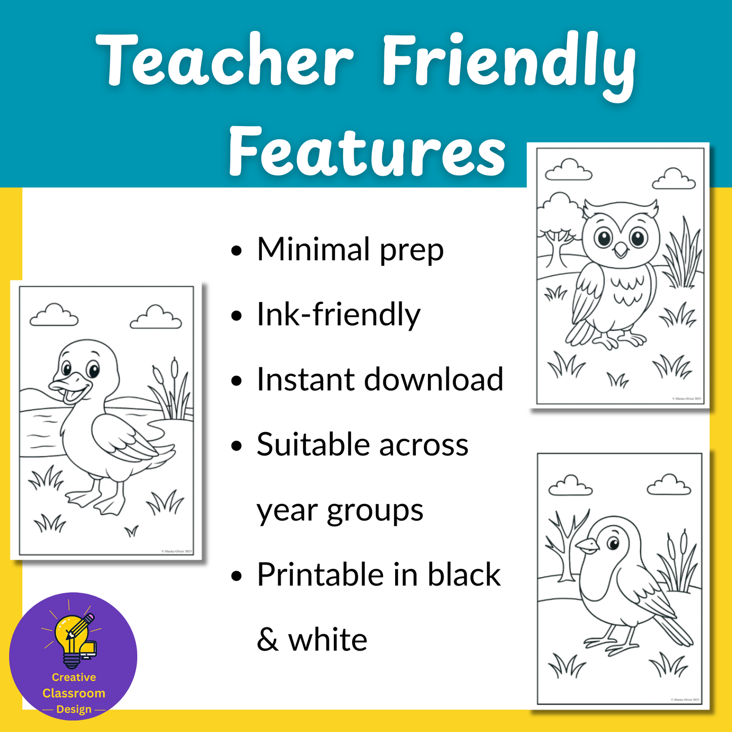 Birds Colouring Pages | 10 Pages